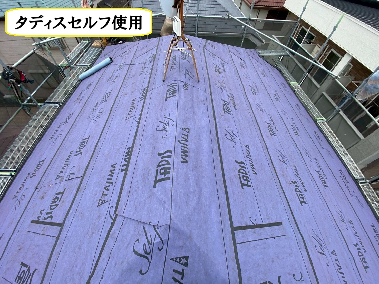 タディスセルフ